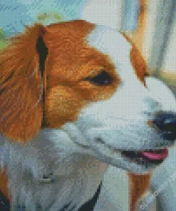 Kooikerhondje 5D Diamond Painting