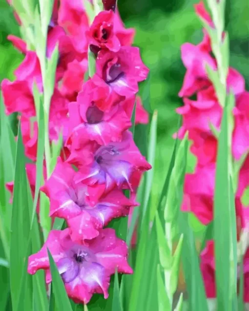 Pink Gladiolus Flower 5D Diamond Painting