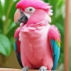 Pink Parrot 5D Diamond Painting