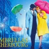 The Umbrellas Of Cherbourg Poster 5D Diamond Painting