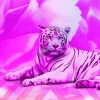 Tiger In Pink 5D Diamond Painting