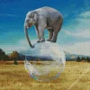 Balancing Elephant 5D Diamond Painting