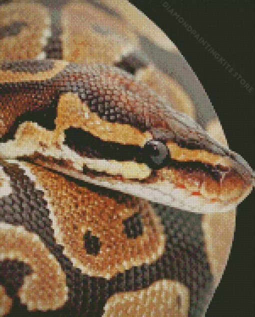 Ball Python 5D Diamond Painting