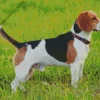 Beagle Hound Dog 5D Diamond Painting