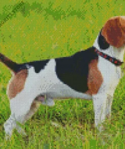 Beagle Hound Dog 5D Diamond Painting