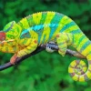 Blue And Green Chameleon 5D Diamond Painting