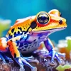 Orange Frog 5D Diamond Painting