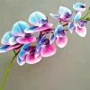 Blue And Pink Orchid Branch 5D Diamond Painting