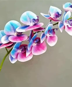 Blue And Pink Orchid Branch 5D Diamond Painting