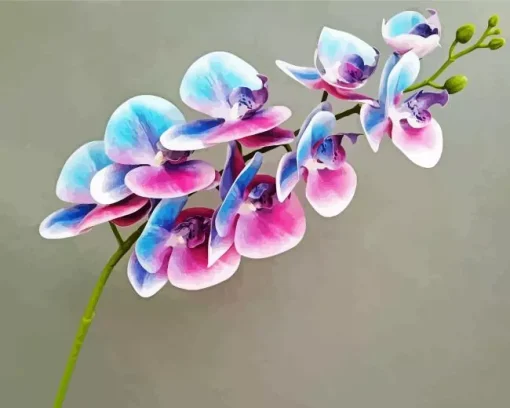 Blue And Pink Orchid Branch 5D Diamond Painting