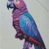 Blue And Purple Parrot 5D Diamond Painting