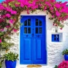 Blue Door Flowers 5D Diamond Painting