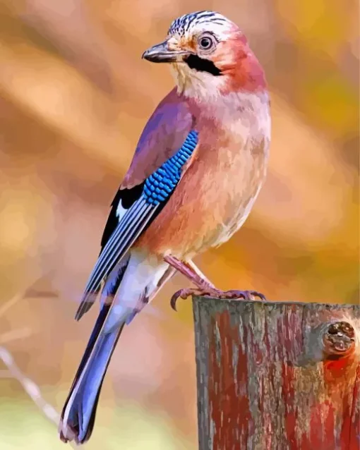 Cool Eurasian Jay 5D Diamond Painting