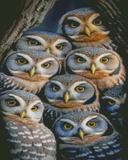 Cool Group Of Owls 5D Diamond Painting