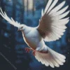 Cool White Flying Pigeon 5D Diamond Painting