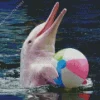 Dolphin Playing With Ball 5D Diamond Painting