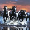 Fresian Black Horses 5D Diamond Painting