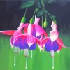 Fuchsia Art 5D Diamond Painting