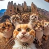 Group Cats Selfie 5D Diamond Painting