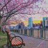 Boston Park Cherry Blossom 5D Diamond Painting