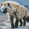 White Hyena 5D Diamond Painting