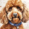 Brown Poodle Art 5D Diamond Painting