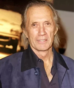 David Carradine 5D Diamond Painting