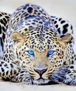 Blue Eyes Leopard 5D Diamond Painting