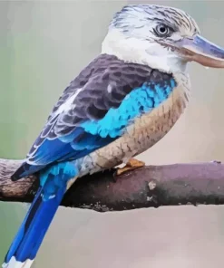 Blue Winged Kookaburra Bird 5D Diamond Painting
