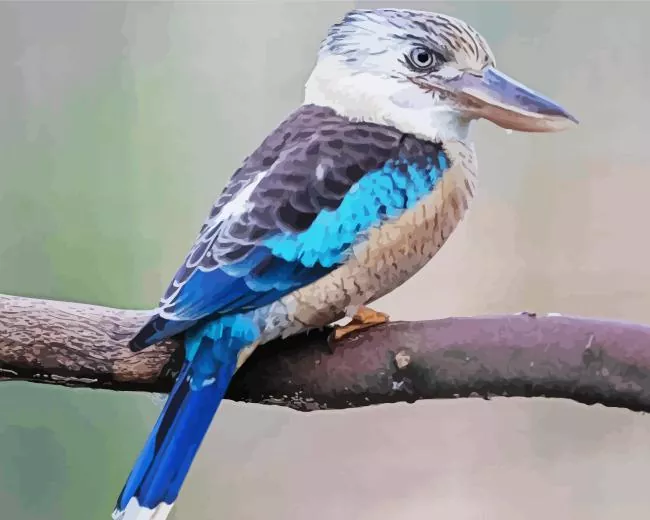 blue winged kookaburra Diamond With Numbers Blue Winged Kookaburra Bird 5D Diamond Painting