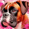 Boxer Dog Face 5D Diamond Painting