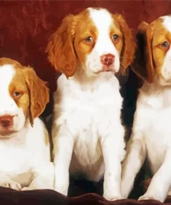 Brittany Spaniel Puppies 5D Diamond Painting