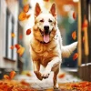 Fall Dog Art 5D Diamond Painting