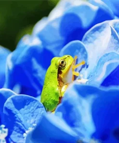 Frog In Flower 5D Diamond Painting
