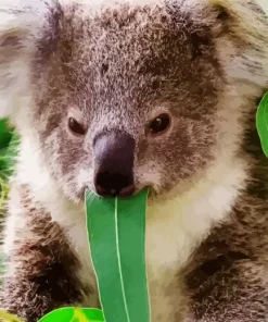 Koala Eucalyptus 5D Diamond Painting