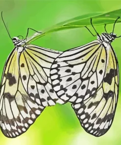 Large Tree Nymph 5D Diamond Painting