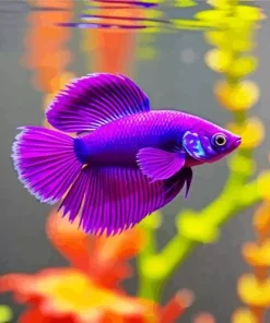 Lavender Betta Fish 5D Diamond Painting