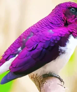 Lavender Bird 5D Diamond Painting