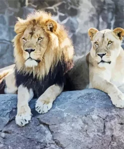 Lion And Lioness 5D Diamond Painting