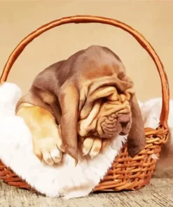 Sleepy Brown Bloodhound Puppy 5D Diamond Painting