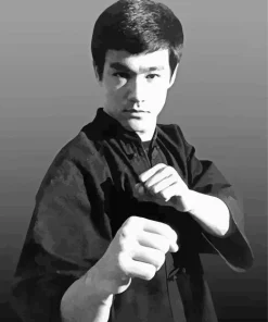 Black And White Bruce Lee 5D Diamond Painting