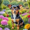 Brown And Black Chiweenie 5D Diamond Painting