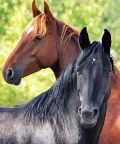 Brown And Black Horses 5D Diamond Painting