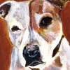 Brown And White Staffordshire Bull Terrier 5D Diamond Painting