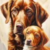 Brown Dogs Face 5D Diamond Painting
