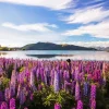 Lake Tekapo New Zealand 5D Diamond Painting