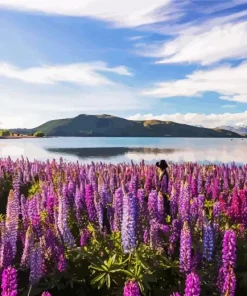 Lake Tekapo New Zealand 5D Diamond Painting