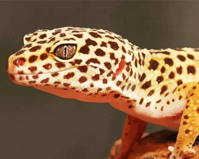 leopard gecko Diamond Paintings Leopard Gecko 5D Diamond Painting