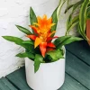 Orange Bromeliad Plant Pot 5D Diamond Painting