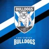 Canterbury Bankstown Bulldogs Emblem 5D Diamond Painting